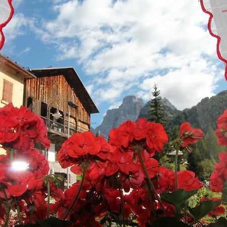 Dolomites Holidays Selva di Cadore Zimmer foto